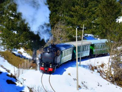 Treno Storico della Sila