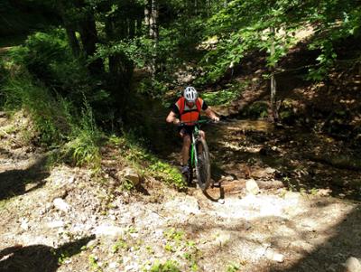 Escursione bike in Sila