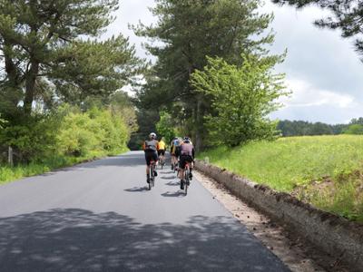 Escursione bike in Sila di gruppo