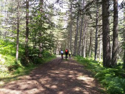 Escursione bike in Sila