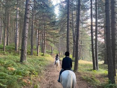 Passeggiata a cavallo_Sila