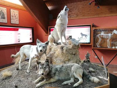 Museo Centro Visite Cupone