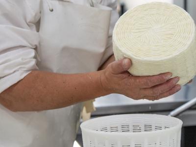 Fattoria didattica in Sila