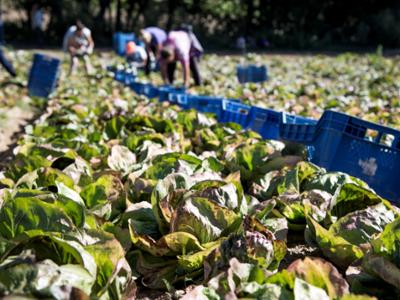 Fattoria didattica in Sila