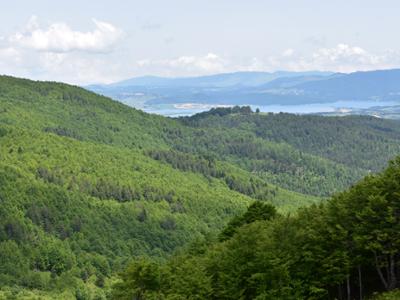 Vista panoramica sul Lago Arvo 