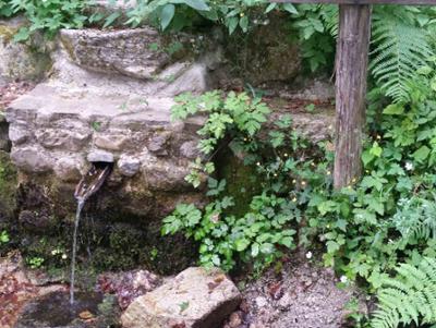 Natura Parco Nazionale della Sila