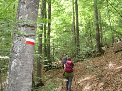 Trekking nel Parco Nazionale della Sila