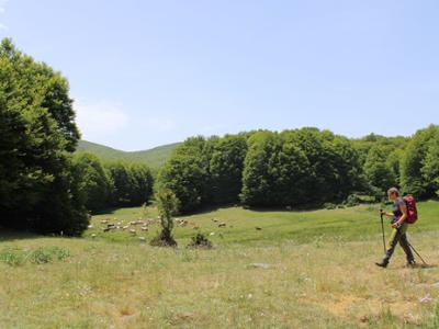 Trekking nel Parco Nazionale della Sila