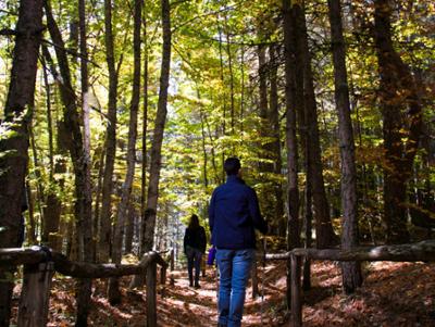 Riserva Giganti della Sila