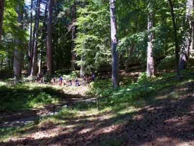 Riserva Giganti della Sila