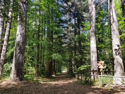 Sentiero natura e relax in Sila