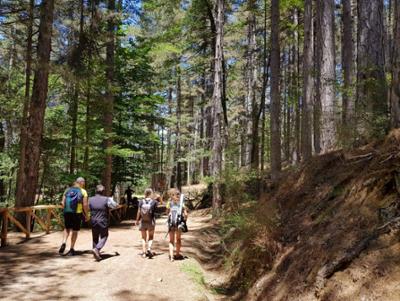 Trekking Centro Visita Cupone