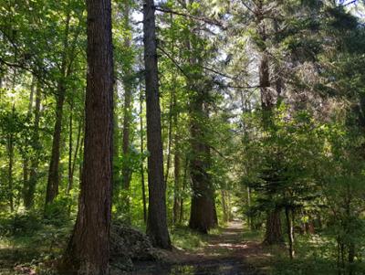 Sentiero trekking Silvana Mansio