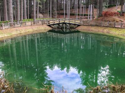 Riserva Biogenetica Poverella Parco Nazionale della Sila Villaggio Mancuso