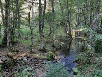 Riserva Biogenetica Poverella Parco Nazionale della Sila Villaggio Mancuso
