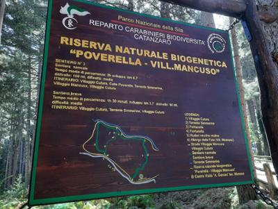 Riserva Biogenetica Poverella Parco Nazionale della Sila Villaggio Mancuso