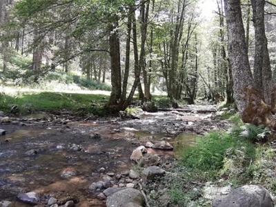 Riserva Biogenetica Poverella Parco Nazionale della Sila Villaggio Mancuso