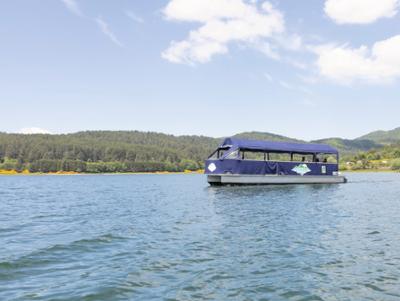 Battello elettrico Lago Arvo Lorica