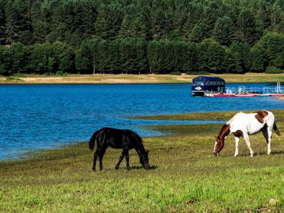 Battello elettrico Lago Arvo Lorica