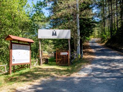 MABOS Museo d'Arte del Bosco della Sila