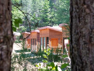 MABOS Museo d'Arte del Bosco della Sila