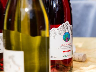 Vigneto più alto d'Europa Cava di Melis