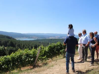 Vigneto più alto d'Europa Cava di Melis