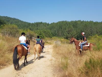 Escursione a cavallo nel Parco Nazionale della Sila