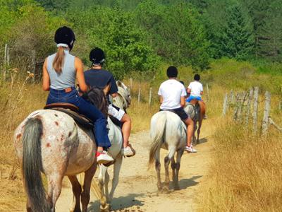 Escursione a cavallo nel Parco Nazionale della Sila