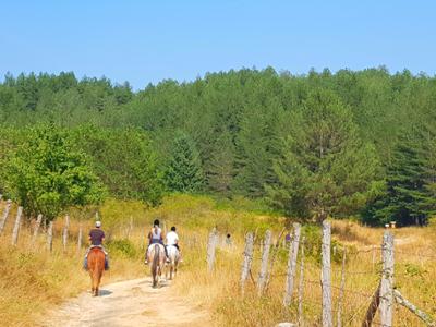Escursione a cavallo nel Parco Nazionale della Sila