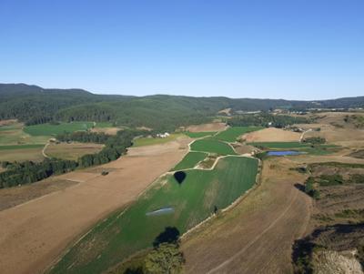 Volo in mongolfiera Parco Nazionale della Sila