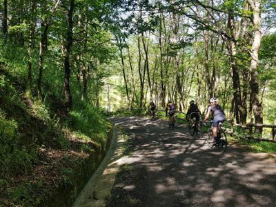 Escursione in e-bike nel Parco Nazionale della Sila