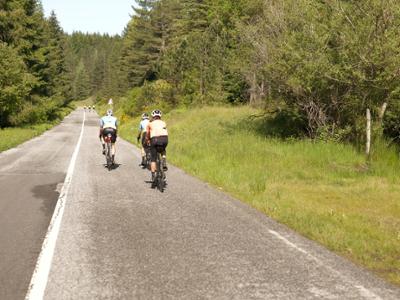 Escursione in e-bike nel Parco Nazionale della Sila