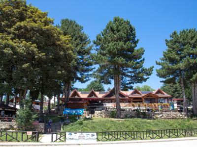 Brillo Parlante Lorica