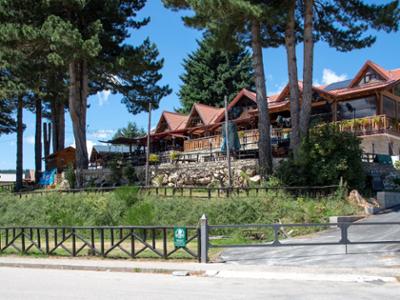 Brillo Parlante Lorica