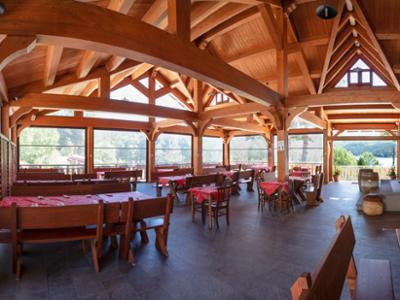 Brillo Parlante Lorica