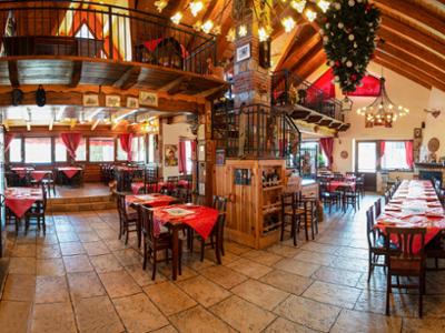 Brillo Parlante Lorica