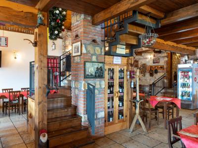 Brillo Parlante Lorica