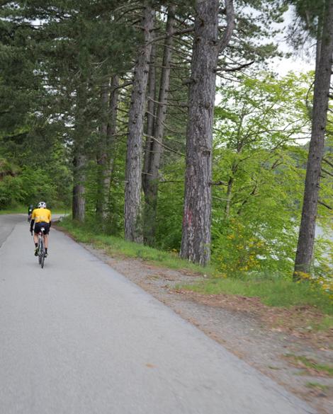 Tour in e-bike e degustazione vini