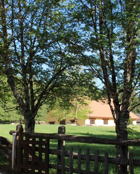 Centro Visite Cupone