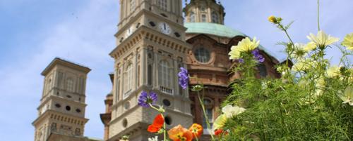 FLORETE FLORES