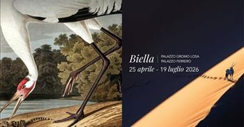 'Selvatica. Arte e Natura in festival' a Biella Piazzo dal 29 aprile