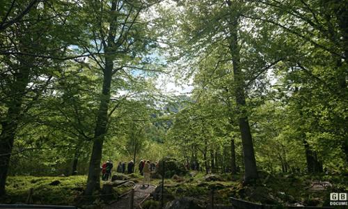 Un mese intenso per il Giardino Botanico di Oropa che apre il 1° maggio.