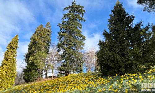 Primavera al Parco della Burcina