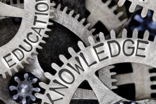 VOLUNTEERING A LONDRA