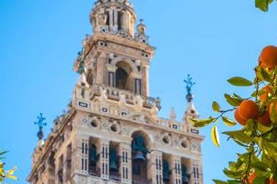 Siviglia - Escuela de Idiomas