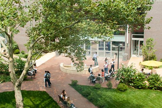 New York - Long Island University Brooklyn partenza di gruppo