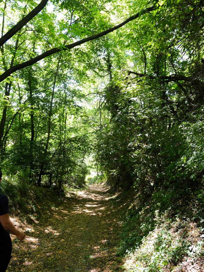 LANDANDÈ - PETALO BLU