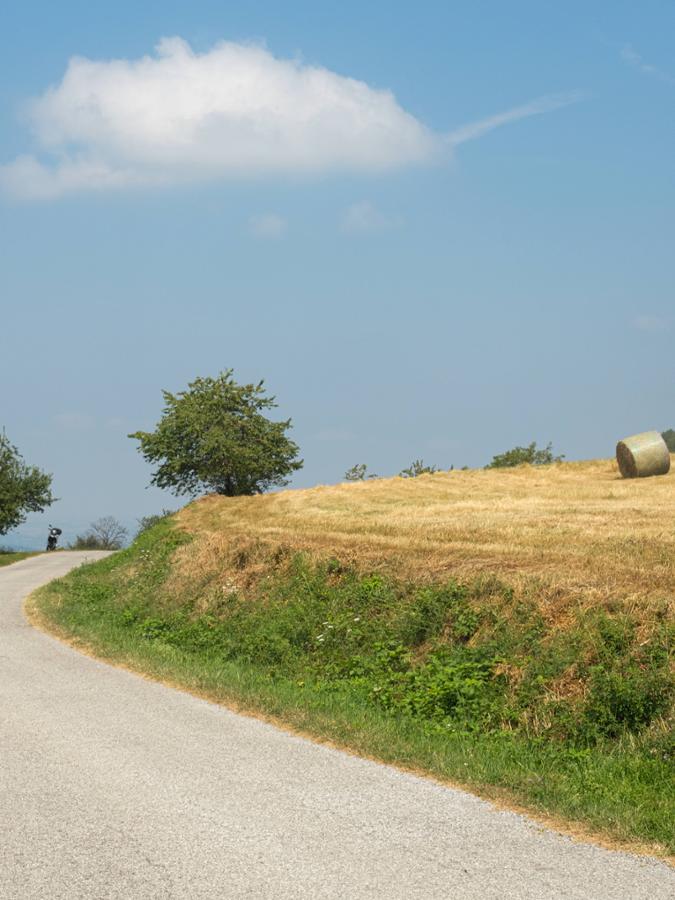 LANDANDÈ - PETALO GIALLO