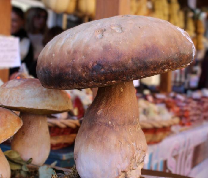 Sagra del fungo a Camigliatello Silano